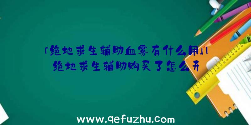 「绝地求生辅助血雾有什么用」|绝地求生辅助购买了怎么开